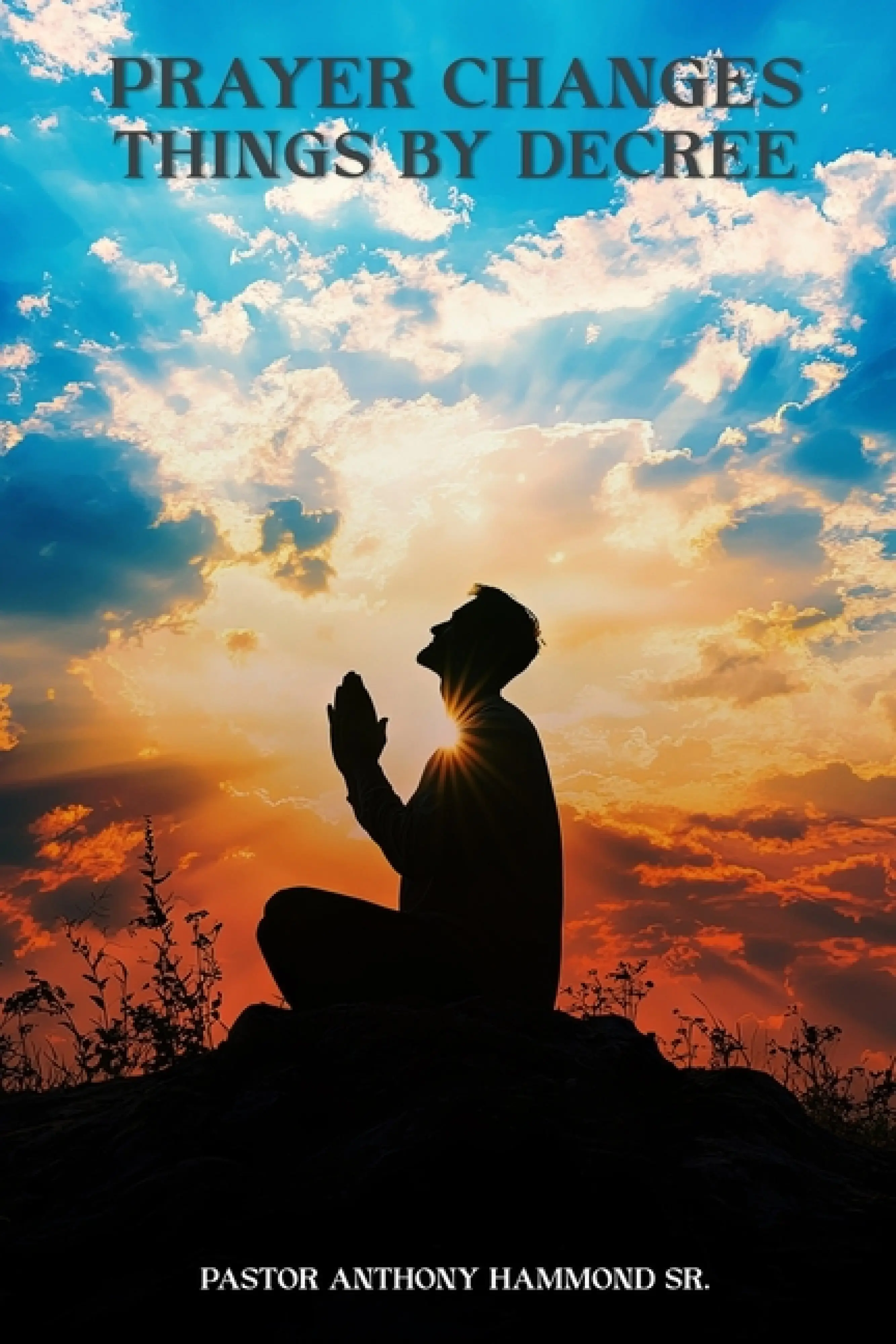 THE POWER OF FAITH AND PRAYER DECREES: Free Delivery when you spend £15 ...