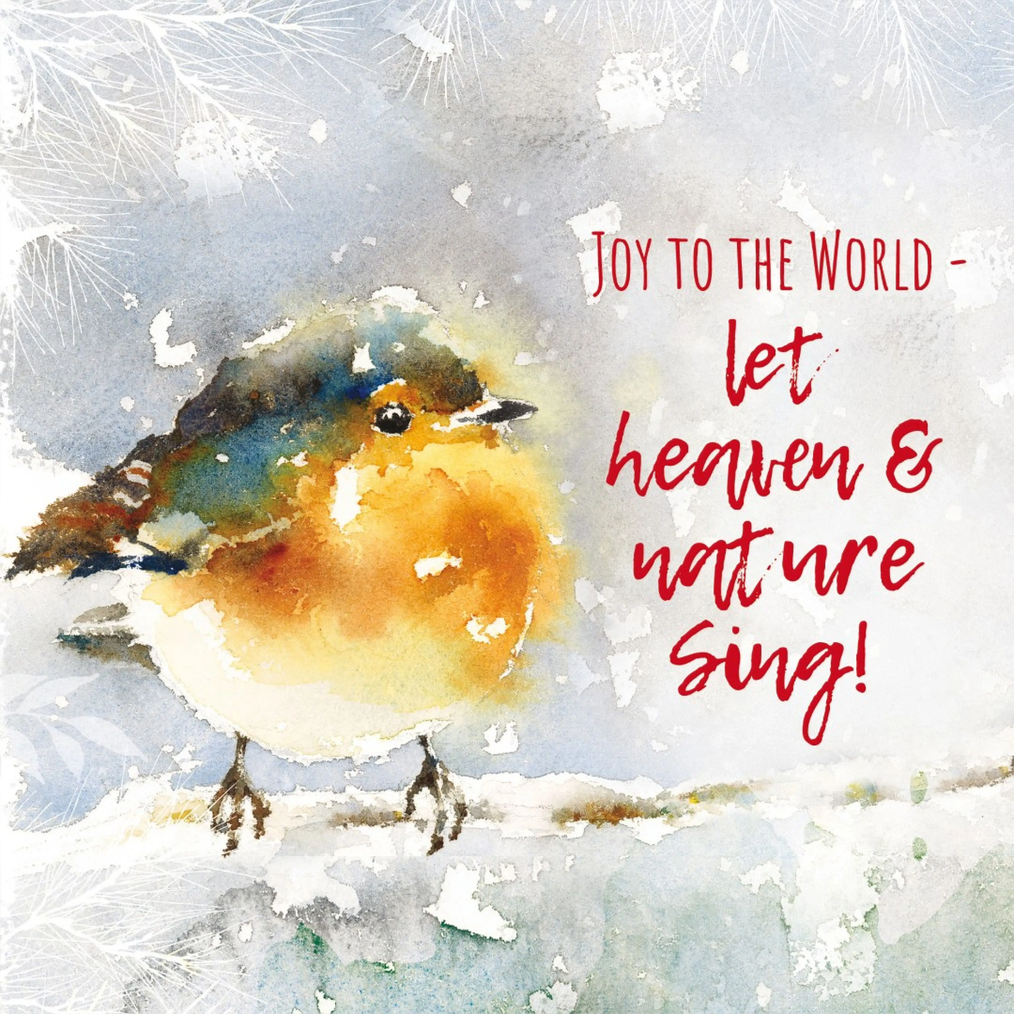 Joyful Robin Christmas Cards - Pack Of 10: Free Delivery when you spend ...