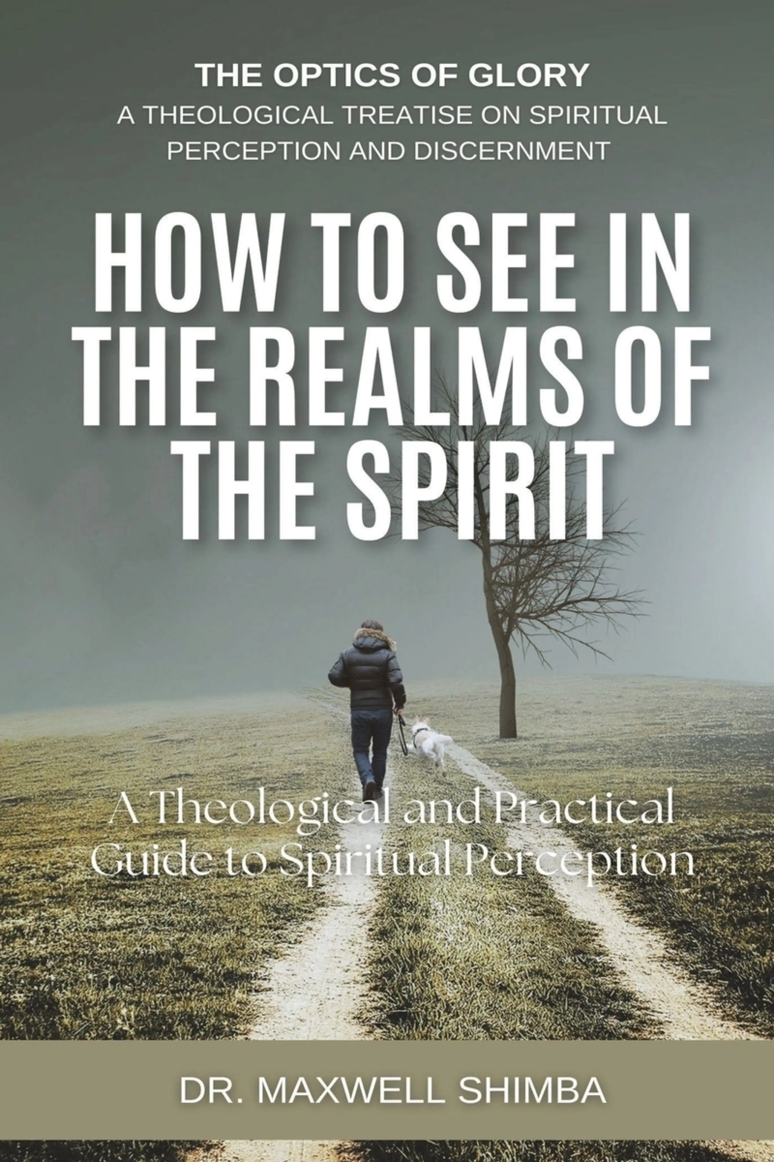 Spirit See How to SEE in the Realms of the Spirit: A Theological and Practical ...