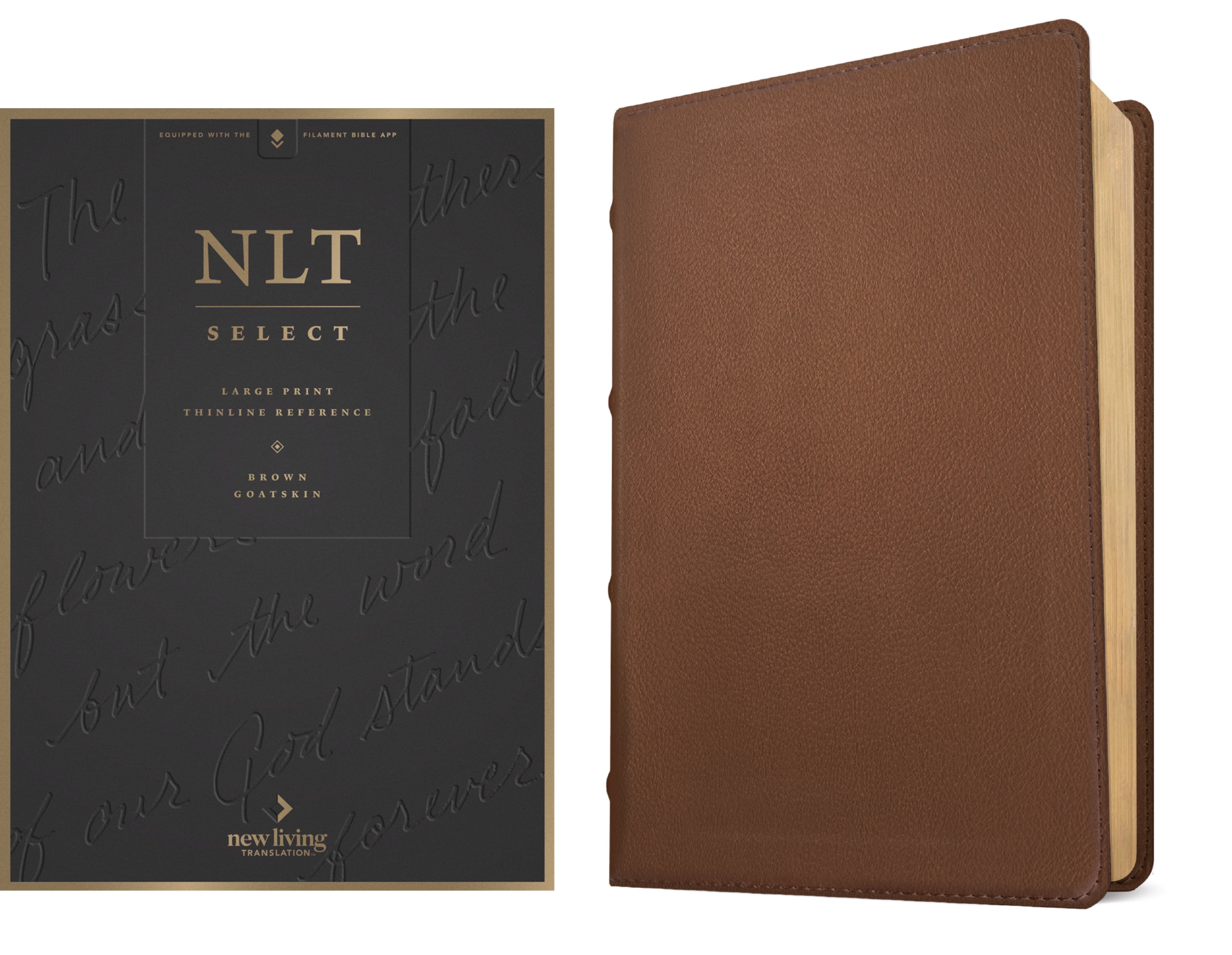 NLT Select Large Print Thinline Reference Bible, Filament Enabled