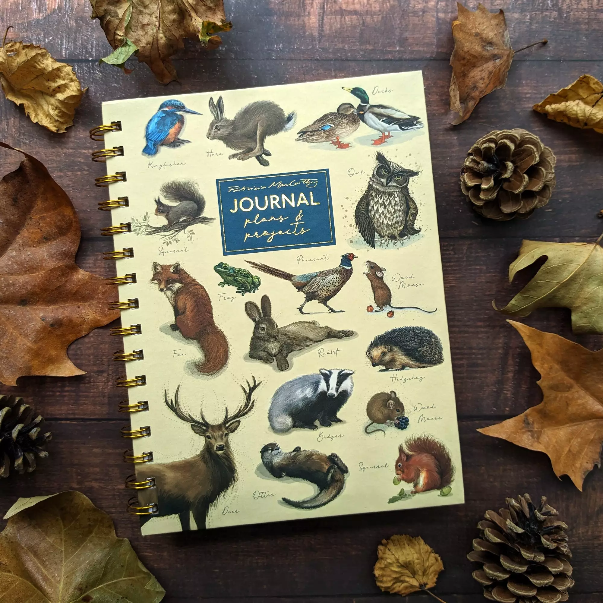 A5 Wiro Notebook With Dividers - Patricia Maccarthy Wildlife