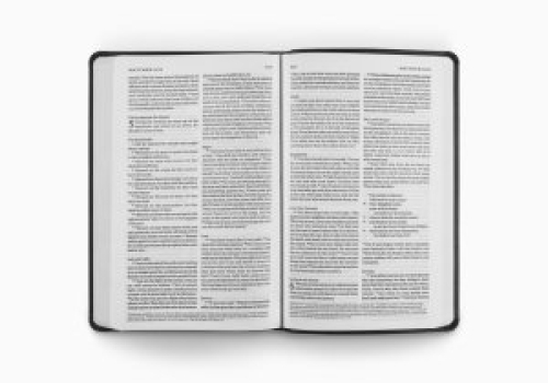 ESV Value Thinline Bible (TruTone, Black)
